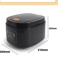 Cuisinière à riz et à soupe multifonction intelligente à commande par micro-ordinateur, avec chauffage du châssis, grande capacité de 5 L, minuterie intelligente, pour la maison