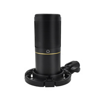 Neues ZX320 Gaming 48V XLR Kondensatormikrofon mit Nierencharakteristik für Live-Streaming, Aufnahmen & Karaoke