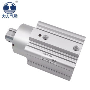 气动管件RSDQB40-25D/RSDQB40-25DF/DL/BK/TG/B双作用弹簧缸体，带电机黄铜/塑料体 - Product Image 4