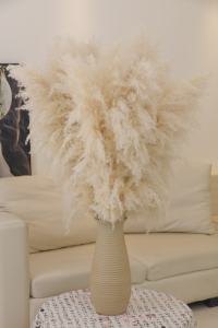 Moon Yu Vente en gros Style Ins Grande herbe pompas <span class=keywords><strong>beige</strong></span> crème séchée et moelleuse Herbe de <span class=keywords><strong>pampa</strong></span> <span class=keywords><strong>pour</strong></span> vases de salon Décor bohème - Product Image 4