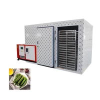 CE-gecertificeerde 3000 kg per batch gedroogde citroen warmtepomp voedseldroger dehydrator gedroogde mango fruit groente droogmachine