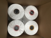 600D FDY PP Yarn Use for Rope Webbing Sewing Thread