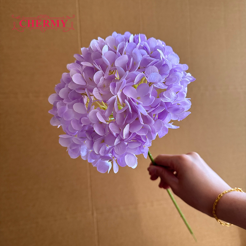 # 6 hortensias à grosse tête violet clair - 18 cm