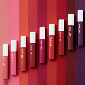 3 Types Long Lasting Matte/Gloss/Shine Moisturizing Lip Glaze Custom Private Label Lip gloss four-in-one lipstick set