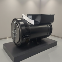 Alternateur AC sans balais série TAL 100 kW, triphasé, enroulement 100 % cuivre avec AVR, 50 Hz 60 Hz, tension personnalisée