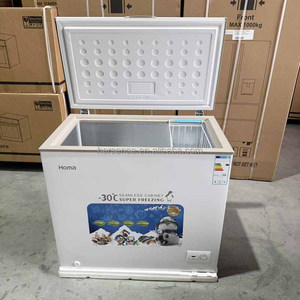 霍玛-30 ℃   深柜式冷冻柜 顶部开门 无缝柜体 快速冷冻 节能 100-300L 适合家庭商业食品储存 - Product Image 2