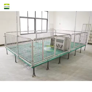 Peralatan Peternakan Babi Kondisi Baru yang Dapat Disesuaikan, Kandang Anak Babi yang Dilepas dari Ibu, Kandang Penitipan Anak Babi, Kandang Babi - Product Image 4