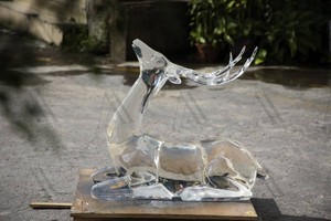 Statue d'animal en acrylique transparent, décoration de jardin moderne, paysage, élan, grande sculpture de cerf couché en résine transparente - Product Image 2