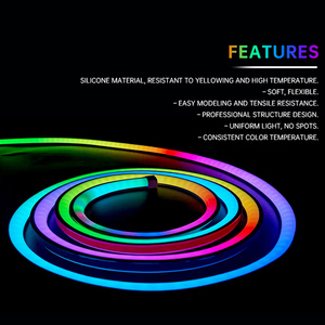 High Efficiency SMD2835 <strong>Rainbow</strong> RGB 220V Outdoor IP65 Waterproof <strong>Led</strong> Flex Neon Rope <strong>Light</strong> - Product Image 2