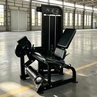 Meilleur prix pour équipement de fitness : Machine à flexions et extensions de jambes en acier avec pile de poids de 80 kg pour l'entraînement musculaire