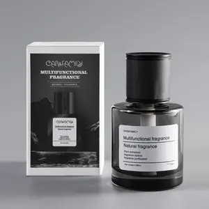 Custom Logo Low Moq Luxe Groothandel Aromatherapie 160ML Langdurige Auto Luchtverfrisser Auto Verfrisser