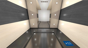 Unidad de tracción sin engranajes 5/6/<span class=keywords><strong>7</strong></span>/8 pisos pequeño elevador residencial hogar Villa elevador pasajero China elevador con buen <span class=keywords><strong>precio</strong></span> - Product Image 3