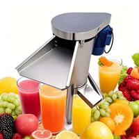 1000kg/uur Grote Capaciteit Mango Pulp Machine Fruitpulpmachine Mango Pulper