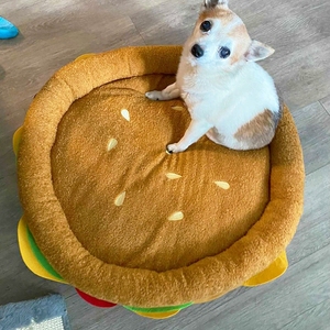 Cuccia in Memory Foam a forma di Hamburger-comodo e accogliente lettino <span class=keywords><strong>per</strong></span> animali domestici - Product Image 5