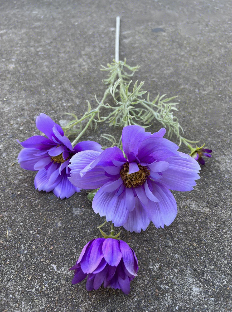 9#6 cosmos violet clair