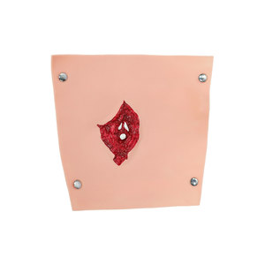 DARHMMY Módulo de Simulación de Trauma para Enfermería de Emergencia y Enseñanza Médica, Cuidado Realista de Heridas para Habilidades de Primeros Auxilios - Product Image 5