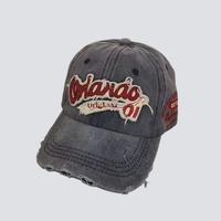 Gorra de Béisbol de Lona de Algodón Estilo Urbano con Diseño de Bordado Vintage de Frutas, Ajustable, Unisex, para Deportes al Aire Libre