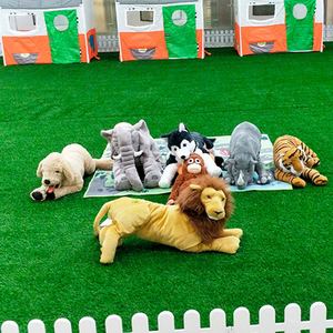 Décoration <span class=keywords><strong>de</strong></span> la maison résistance aux UV herbe véritable verte comme tapis <span class=keywords><strong>de</strong></span> gazon artificiel bon marché - Product Image 6