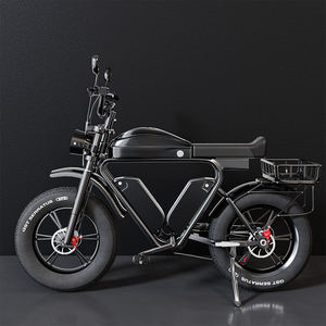 Drievoudige Batterij 2000W Dual Motor E <span class=keywords><strong>Bike</strong></span> 70ah 48V Lifepo4 Hydraulische Rem Volledige Vering 20 Inch Dikke Band 280Km Lange Afstand - Product Image 2