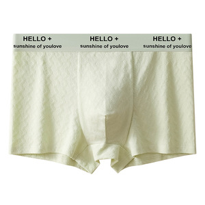 Nouveaux Caleçons pour Hommes, Boxers Tendance Jeunesse, Respirants et Confortables, Shorts pour Garçons - Product Image 1