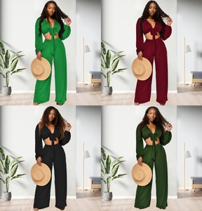 Nuevo Diseño, Ropa de Talla Grande para Mujer, Formal, para Salir, de Color Sólido, Pantalón de Pierna Ancha, Conjunto de 2 Piezas, a la Moda - Product Image 2