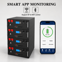 Batterie LiFePO4 de haute qualité 51,2 V 100 Ah 5 kWh pour montage en rack de serveur avec BMS intelligent et application WIFI pour système de stockage d'énergie solaire