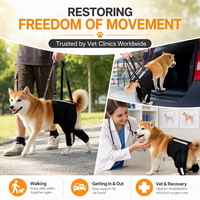 Harnais universel réfléchissant en polyester solide pour chien, soutien de la colonne vertébrale, aide à la mobilité post-opératoire et à l'arthrite, ressort à mémoire de forme, respirant