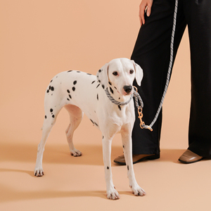Nuevo y elegante Collar de perro trenzado a mano de nailon de lujo para perros pequeños, medianos y grandes, collares ajustables suaves para cachorros sin tirones para entrenamiento de mascotas - Product Image 6