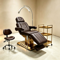 Fauteuil de beauté électrique à 3 moteurs avec base dorée, réglable, pour soins du visage et tatouages, avec tabouret, chariot de beauté et lumière LED