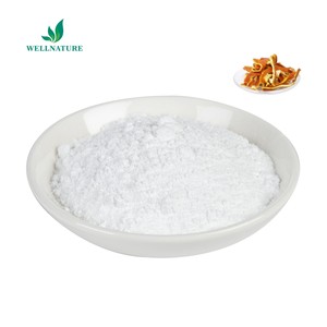 ผงสกัดจากส้มขม6%-98 - Product Image 3