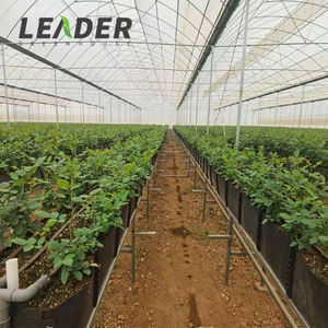 Gouttière <span class=keywords><strong>de</strong></span> culture en PVC 0.7/0.8mm personnalisée serre cerise <span class=keywords><strong>tomate</strong></span> système bac <span class=keywords><strong>de</strong></span> drainage hors sol - Product Image 3