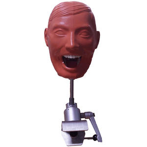 Outils et équipement de laboratoire dentaire de modèle de tête fantôme d'anatomie d'utilisation de dentiste pour l'éducation de science médicale - Product Image 1
