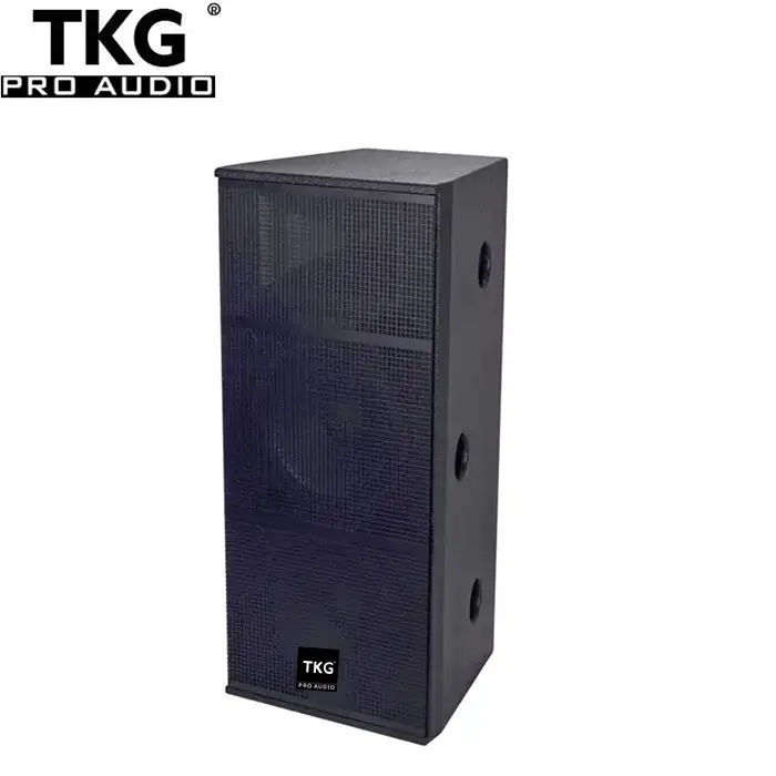TKG DS-215 15 inci 1000 watt tahap kinerja 2-way jangkauan penuh 15 "speaker audio profesional 15 inci speaker jangkauan penuh