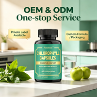 Capsules de Chlorophylle Végétaliennes Marque Blanche OEM – Soutien à la Fraîcheur Interne – Complément Alimentaire Herbal avec Persil et Feuille de Menthe Poivrée