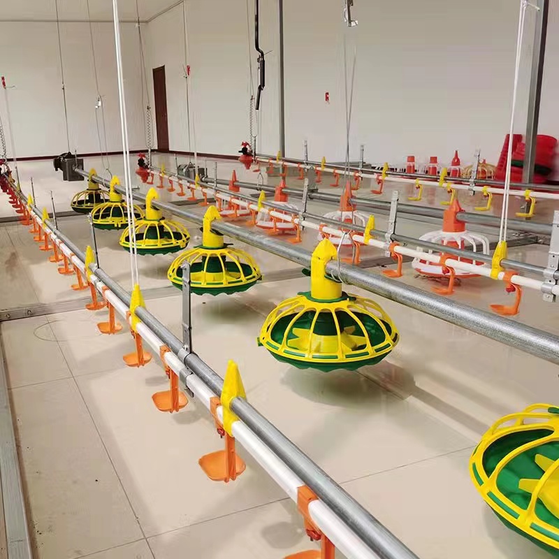 1.5KW HX Poultry Farm Equipment With Hopper Galvanized Pipe