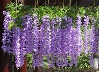 Nouvelle fleur artificielle en plastique de glycine à haute densité, fleur de glycine suspendue pour salon, décoration murale