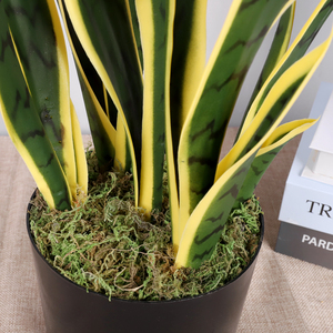 Qihao-Planta de serpiente Artificial pequeña, <span class=keywords><strong>Sansevieria</strong></span> falsa, escritorio, maceta para interior, exterior, hogar, oficina, regalo de calentamiento - Product Image 5