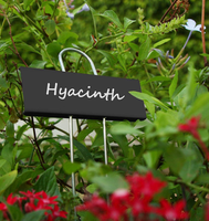 Étiquettes pour plantes avec double pointe, marqueurs de jardin durables et résistants aux intempéries, étiquettes en acier inoxydable pour l'identification des plantes d'extérieur