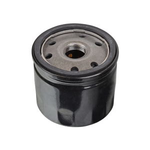 Bộ Lọc Dầu 46796687 Phù Hợp Với ALFA ROMEO 156 155 147 146 145 FIAT LANCIA 1.1-2.5L 1995- - Product Image 2