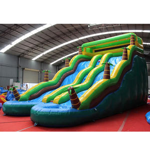 Tobogán Acuático Inflable Gigante Personalizado con Forma de Palmera Curva para Adultos, Tobogán Acuático Inflable de Doble Carril con Piscina - Product Image 3