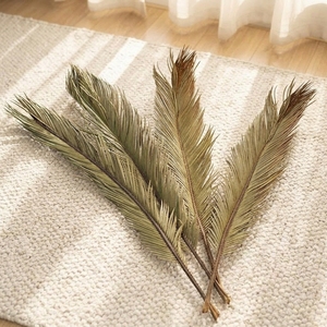 Daun Sagu Kering Grosir Satu Paket, Daun Cycas Gaya Boho Alami untuk Dekorasi Rumah dan Pernikahan
