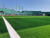 Chine Qualité Gazon Artificiel Synthétique Anti-UV Haute Densité Faux Gazon Gazon pour Balcon Jardin Terrain De Football