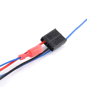 تسخير أنثى 2-دبوس مخصص مع موصلات مصنع مخصص - Product Image 2