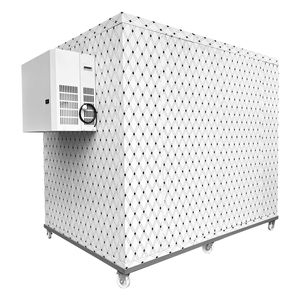 Cella Frigorifera per Pescheria in Acciaio Inox con Pannello Solare a Risparmio Energetico, Dimensioni Personalizzabili, 1 Porta, Componenti Principali PLC - Product Image 2