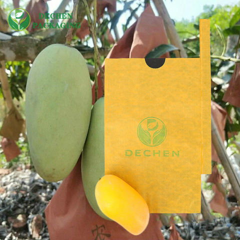 Water Proof Bag Anti Bacteria Plant Growing For Mango Covering Bags Water Proof Bag Anti Bacteria Plant Growing For Mango Covering Bags