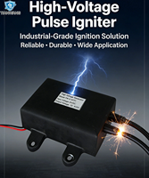 Module d'allumage haute tension 20KV 36W TW-G-QC01 24V pour chauffage de stationnement diesel et camion