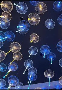 <span class=keywords><strong>Led</strong></span> sứa ánh sáng ngoài trời không thấm nước đầy màu sắc sợi quang sứa đám cưới trần ánh sáng thanh bầu không khí ánh sáng cảnh quan - Product Image 4