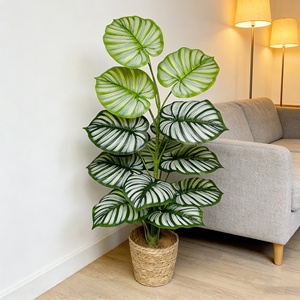 Nouvelle Collection : Ornements <span class=keywords><strong>D</strong></span>écoratifs Artisanaux en Plastique, Répliques Réalistes au Toucher, 15 Variétés <span class=keywords><strong>d</strong></span>'Alocasia Macrorrhiza pour l'Intérieur - Product Image 3