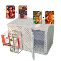 Séchoir automatique pour prunes et abricots, machine de séchage de fruits, équipement de déshydratation alimentaire adapté à la séchage des pruneaux, figues, cerises et bananes
