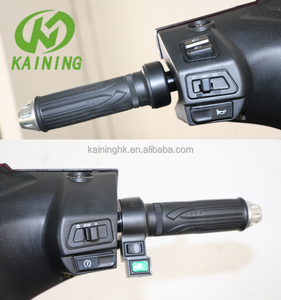 มอเตอร์ไซค์ขนาดเล็ก Kaining Eec Coc รุ่น Wuxi Scooter สำหรับผู้ใหญ่ Kn-zlt มอเตอร์ไซค์สำหรับผู้ใหญ่ Kaining Eec Coc รุ่นขนาดเล็ก - Product Image 5